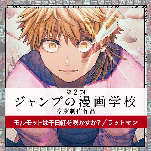 モルモットは千日紅を咲かすか？