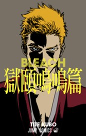 BLEACH 獄頤鳴鳴篇 カラー版 のサムネイル
