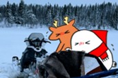 第１５５回 のサムネイル