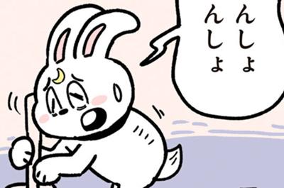 ポコタの豆ちしき