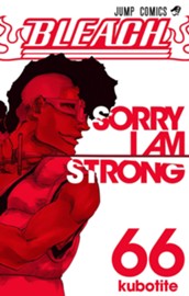 BLEACH モノクロ版 66 のサムネイル