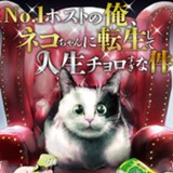 No.1ホストの俺、ネコちゃんに転生して人生チョロすぎな件