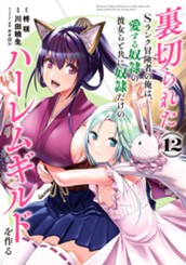 裏切られたSランク冒険者の俺は、愛する奴隷の彼女らと共に奴隷だけのハーレムギルドを作る 12 のサムネイル