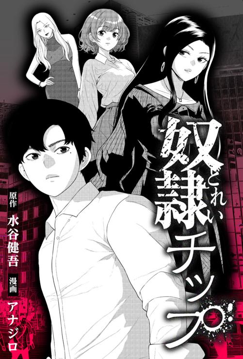 奴隷チップ