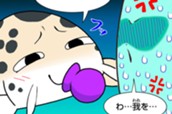 第２８話　シノドンティス・ムルチプンクタータス のサムネイル