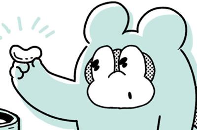 ポコタの豆ちしき