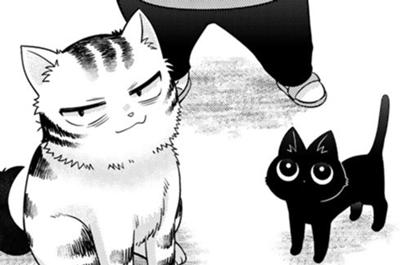 ルドルフとイッパイアッテナ