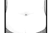 第131話　ありのままの腹 のサムネイル