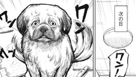 旦那が犬になった