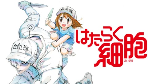 はたらく細胞 清水茜 第１話 肺炎球菌 コミックdays