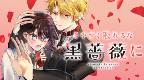 きやすく触れるな黒薔薇に