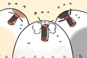 第１０話 のサムネイル
