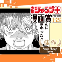 Stray Sheep／ジャンプ＋漫画賞 2026年1-2月期