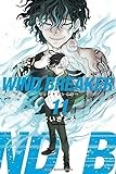 WIND BREAKER(11) (講談社コミックス)