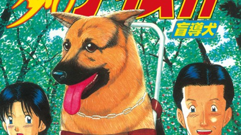 歩けアイメイト