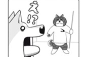 ９ｔｈ　Ｂａｒｋｉｎｇ：Ｄｒｅａｍ！ のサムネイル