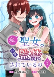 私、聖女。いま、監禁されているの 3 のサムネイル