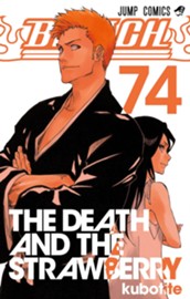 BLEACH モノクロ版 74 のサムネイル