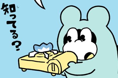 ポコタの豆ちしき