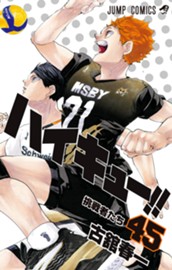ハイキュー!! 45 のサムネイル