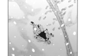 ＃４１　黒幕 のサムネイル