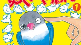 好きやねん
