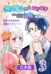 【合本版】精霊魔法が使えない無能だと婚約破棄されたので、義妹の奴隷になるより追放を選びました 3 のサムネイル