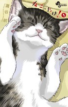 ねこったけ！（１） (少年サンデーコミックス)