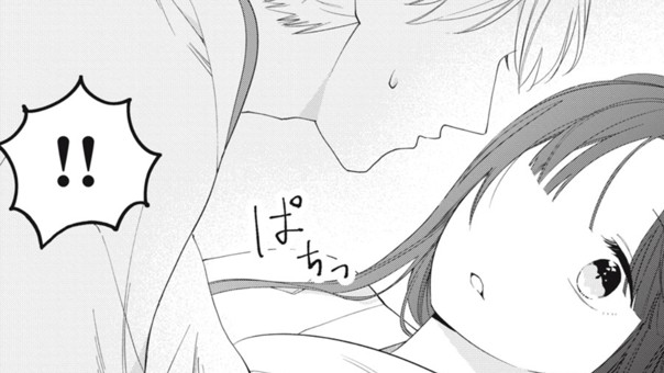 偽りの姫と暗殺者