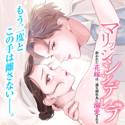 マリッジシンデレラ 拾われた花嫁は一途な副社長に溺愛される
