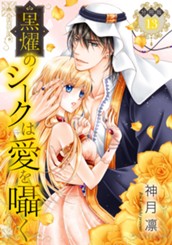 【分冊版】黒燿のシークは愛を囁く 13 のサムネイル