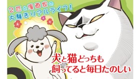 犬と猫どっちも飼ってると毎日たのしい