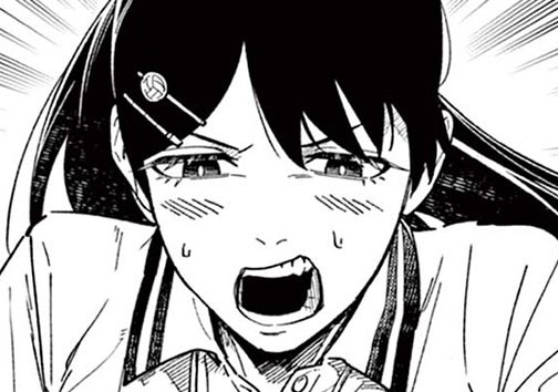 エースカースエール