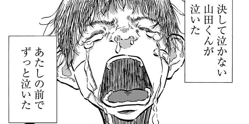 黒猫は泣かない。