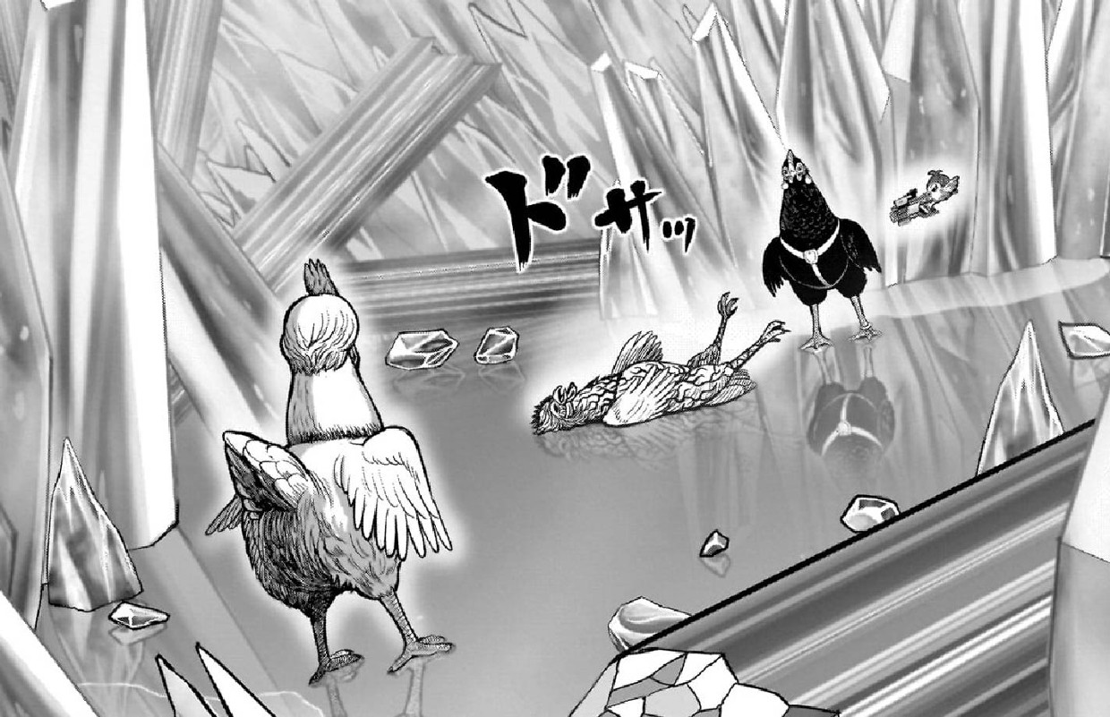 ニワトリ・ファイター