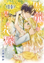 黒龍さまの見習い花嫁 14 のサムネイル