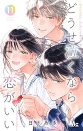 どうせ泣くなら恋がいい 11 のサムネイル