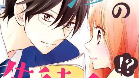 理想の生徒会長！？