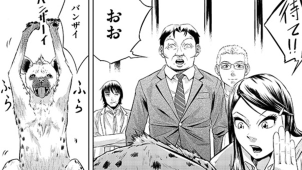 動物商 空久保ケージ