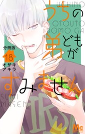 うちの弟どもがすみません 分冊版 18 のサムネイル