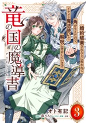 竜の国の魔導書 ～婚約破棄された上に呪われて角が生えたので、イケメン魔法使いと解呪に奔走しています～ 3 のサムネイル