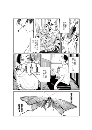 夏の暑さに僕の頭は乱される。