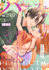 パーフェクト・ドミネーション 3 のサムネイル