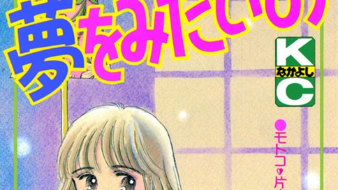 夢をみたいの