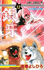 銀牙—流れ星 銀— 集英社版 13 のサムネイル