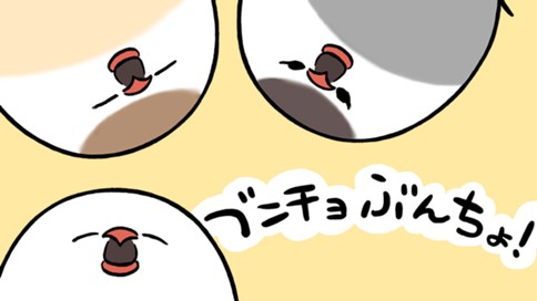 ブンチョぶんちょ！