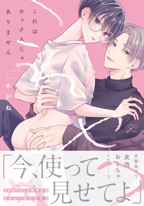 これはセックスじゃありません