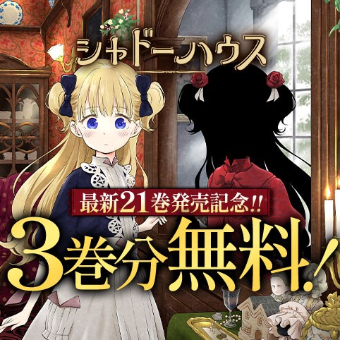 シャドーハウス