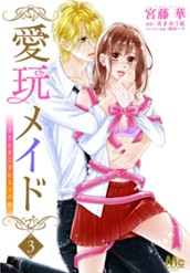 愛玩メイド 王子とすごすヒミツの夜 3 のサムネイル