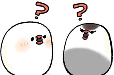 ブンチョぶんちょ！